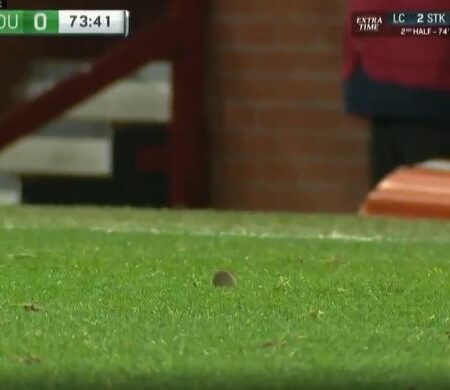 Mouse on Pitch at Old Trafford Raises Pest Control Questions