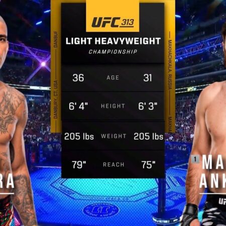 Alex Pereira vs Magomed Ankalaev: Tense Faceoff at UFC 313