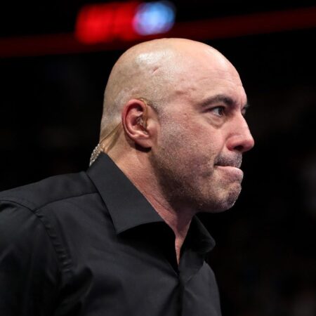 Joe Rogan to Commentate at UFC 313
