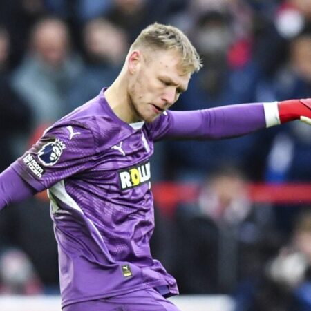 Southampton to Replace Manager Juric with Rohl