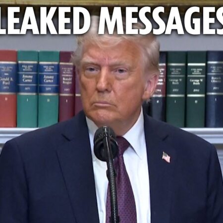 Дуайт Гейл был шокирован заявлением Стива Брюса об отсутствии тактики в Ньюкасле