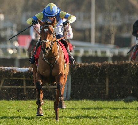 Paul Scholes Celebrates Cheltenham Festival Winnings
