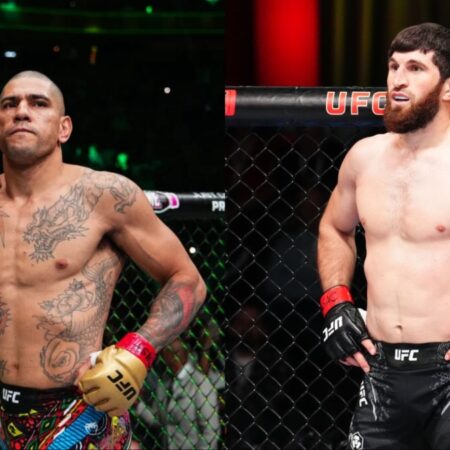 UFC 313: Ankalaev vs. Pereira – Light Heavyweight Title Clash and Predictions