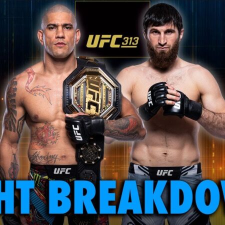 UFC 313: Pereira vs. Ankalaev – Title Fight Preview
