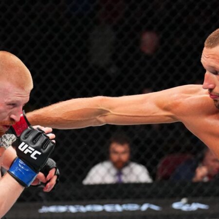 Будущие поединки после UFC Де Мойн
